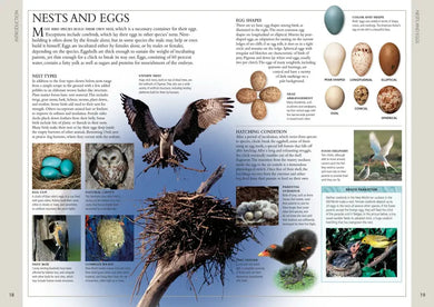 Birds of Western Canada US - Book