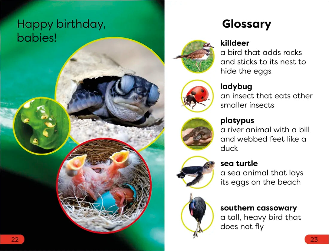 DK Super Readers Pre-Level What Starts in an Egg? US - Paperback / softback