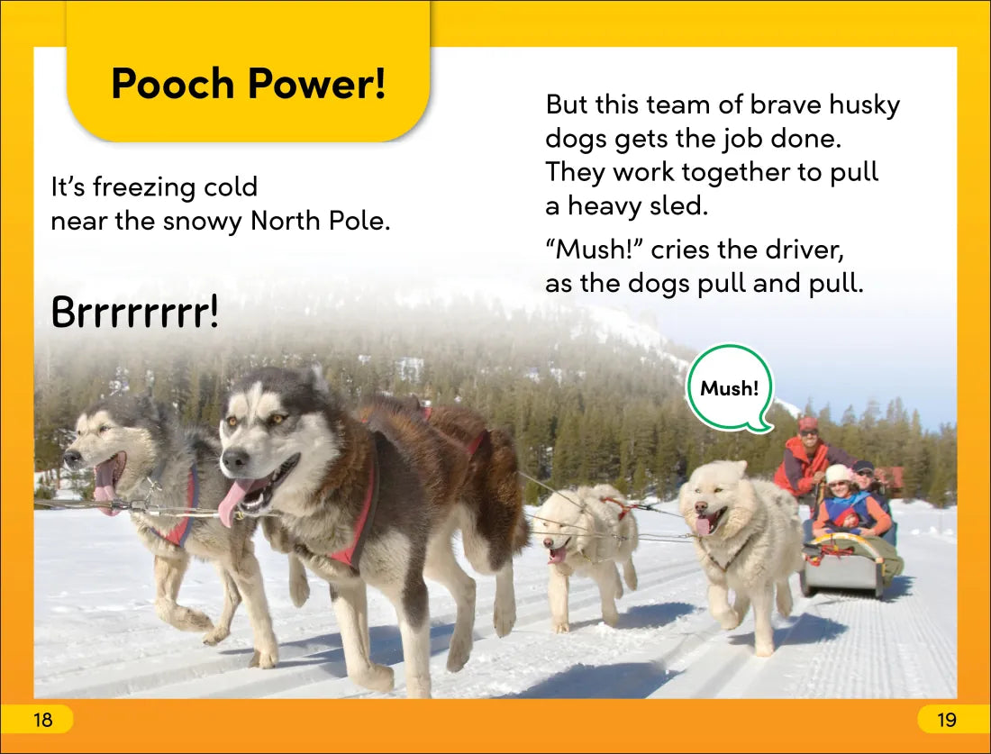 DK Super Readers Level 2 Amazing Dogs US - Hardback