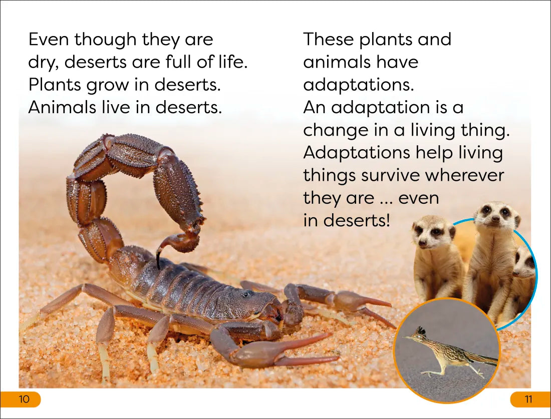 DK Super Readers Level 1 Desert Plants and Animals US - Hardback