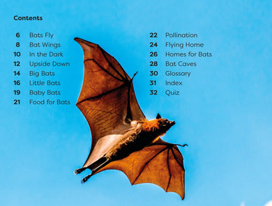 DK Super Readers Level 1 All About Bats US - Hardback