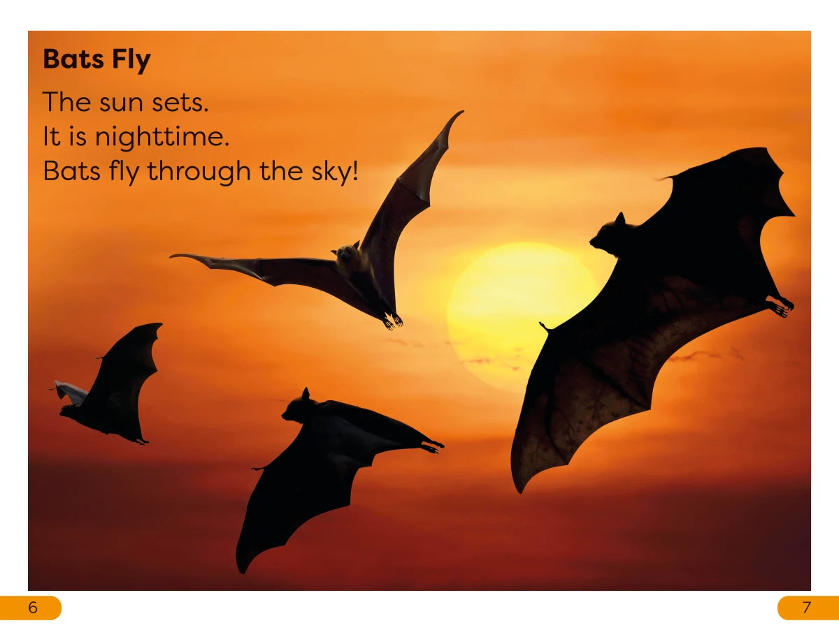 DK Super Readers Level 1 All About Bats US - Hardback