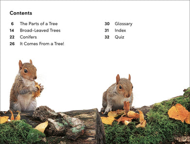 DK Super Readers Level 2 The Secret Life of Trees US - Hardback