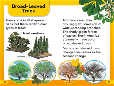 DK Super Readers Level 2 The Secret Life of Trees US - Hardback