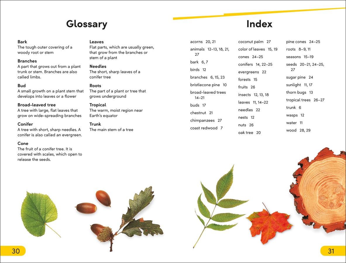 DK Super Readers Level 2 The Secret Life of Trees US - Hardback