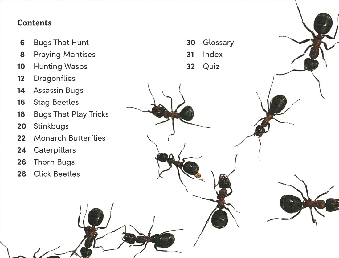 DK Super Readers Level 3 Bugs! Bugs! Bugs! US - Paperback / softback