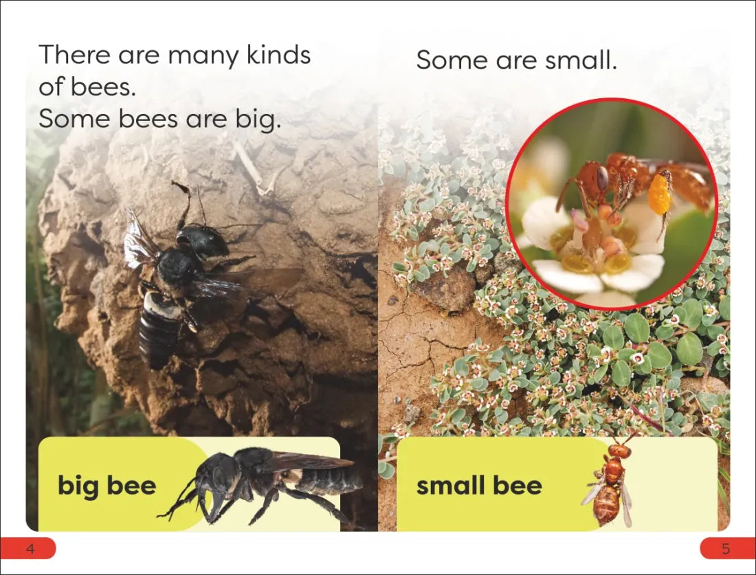 DK Super Readers Pre-Level Save the Bees US - Hardback