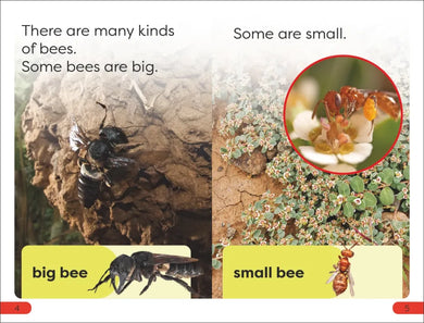 DK Super Readers Pre-Level Save the Bees US - Hardback