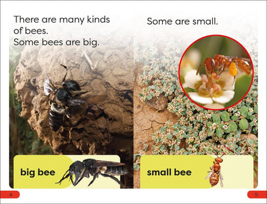 DK Super Readers Pre-Level Save the Bees US - Paperback / softback