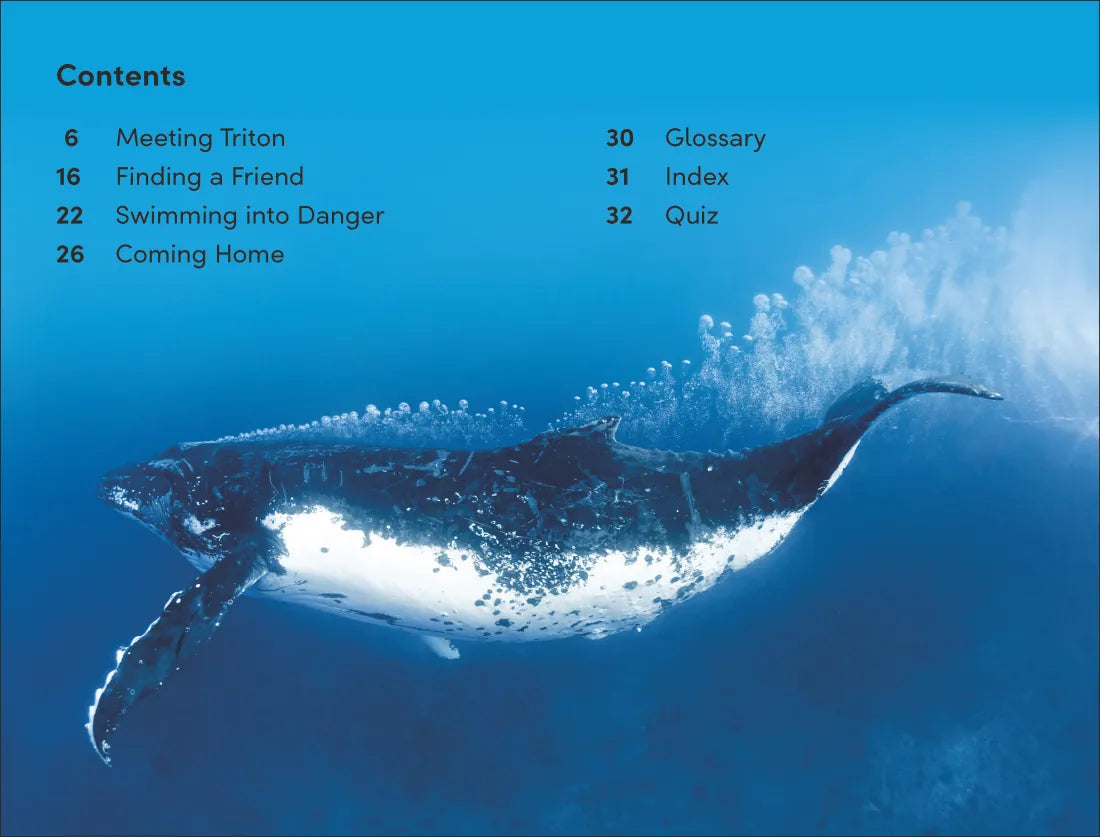 DK Super Readers Level 2 Journey of a Humpback Whale US - Paperback / softback