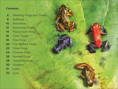 DK Super Readers Level 1 Frogs and Toads US - Hardback