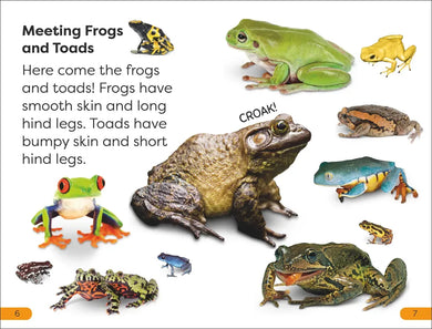 DK Super Readers Level 1 Frogs and Toads US - Hardback