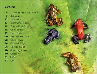 DK Super Readers Level 1 Frogs and Toads US - Paperback / softback