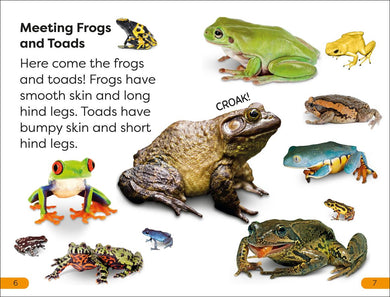DK Super Readers Level 1 Frogs and Toads US - Paperback / softback