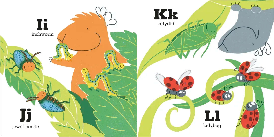 Guinea Pigs Go Bug Hunting US - Board book