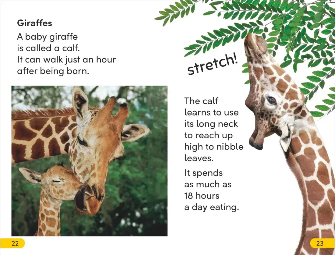 DK Super Readers Level 2 Wild Baby Animals US - Hardback