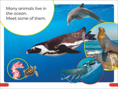 DK Super Readers Pre-Level Ocean Animals US - Hardback