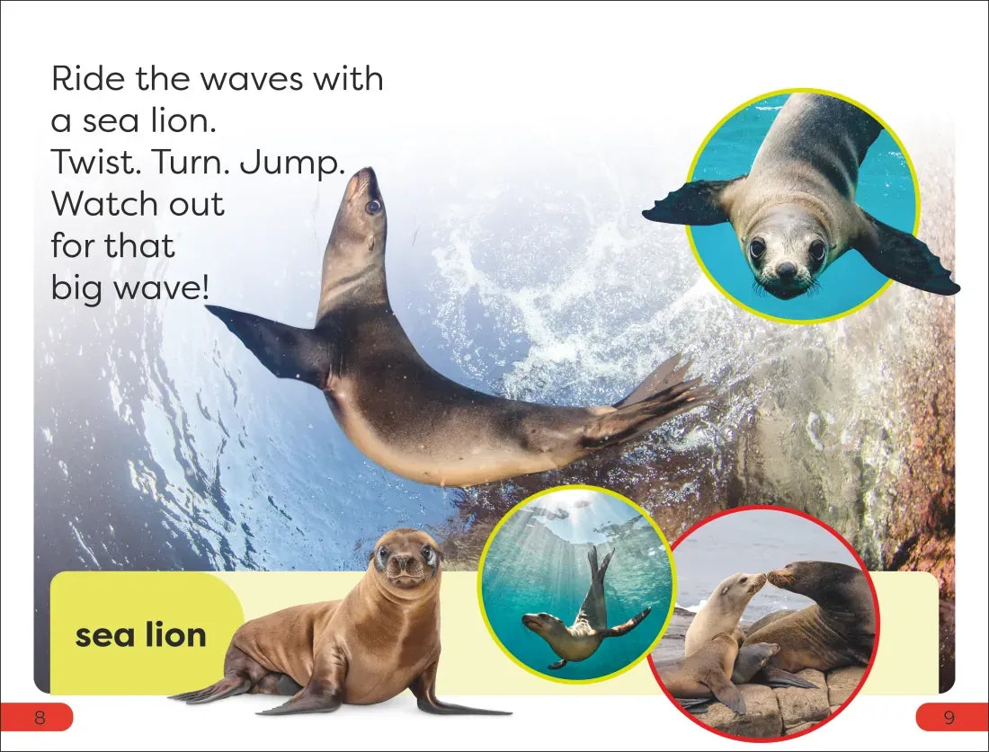 DK Super Readers Pre-Level Ocean Animals US - Hardback