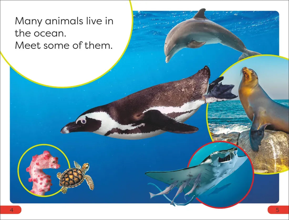 DK Super Readers Pre-Level Ocean Animals US - Paperback / softback
