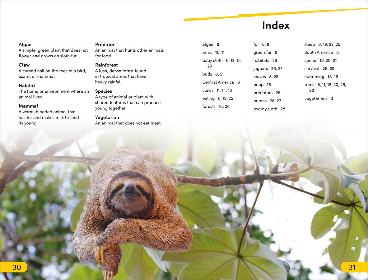 DK Super Readers Level 2 Sloths US - Hardback