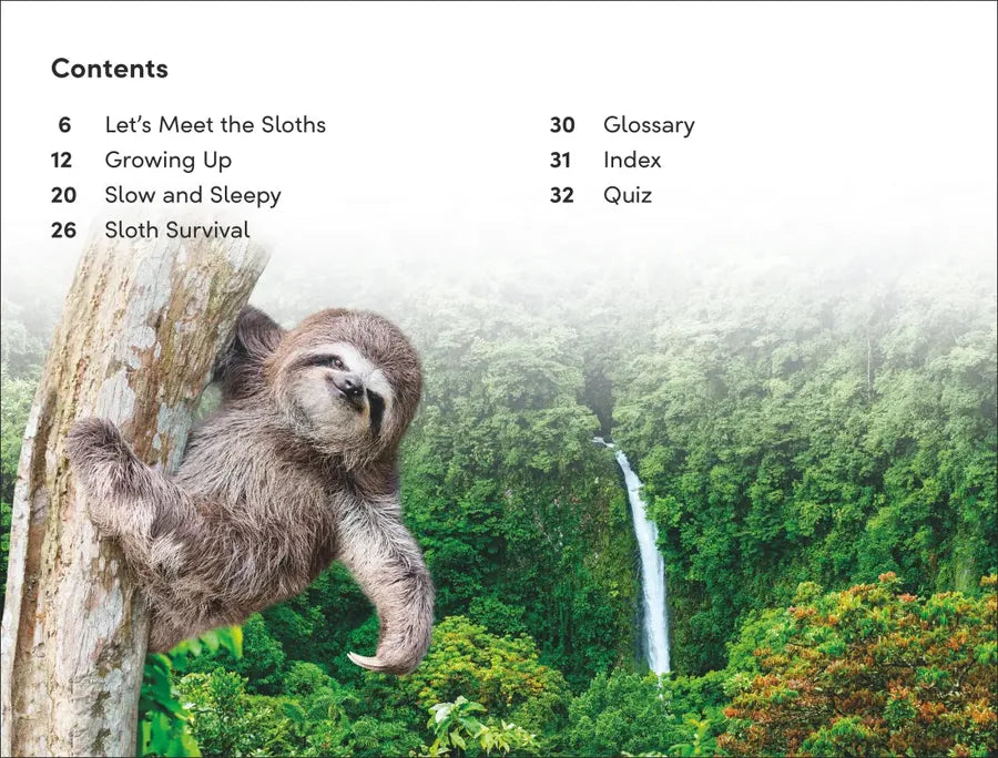 DK Super Readers Level 2 Sloths US - Paperback / softback