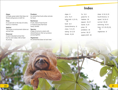 DK Super Readers Level 2 Sloths US - Paperback / softback