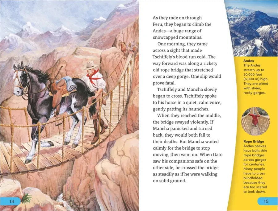 DK Super Readers Level 4 Horse Heroes US - Paperback / softback