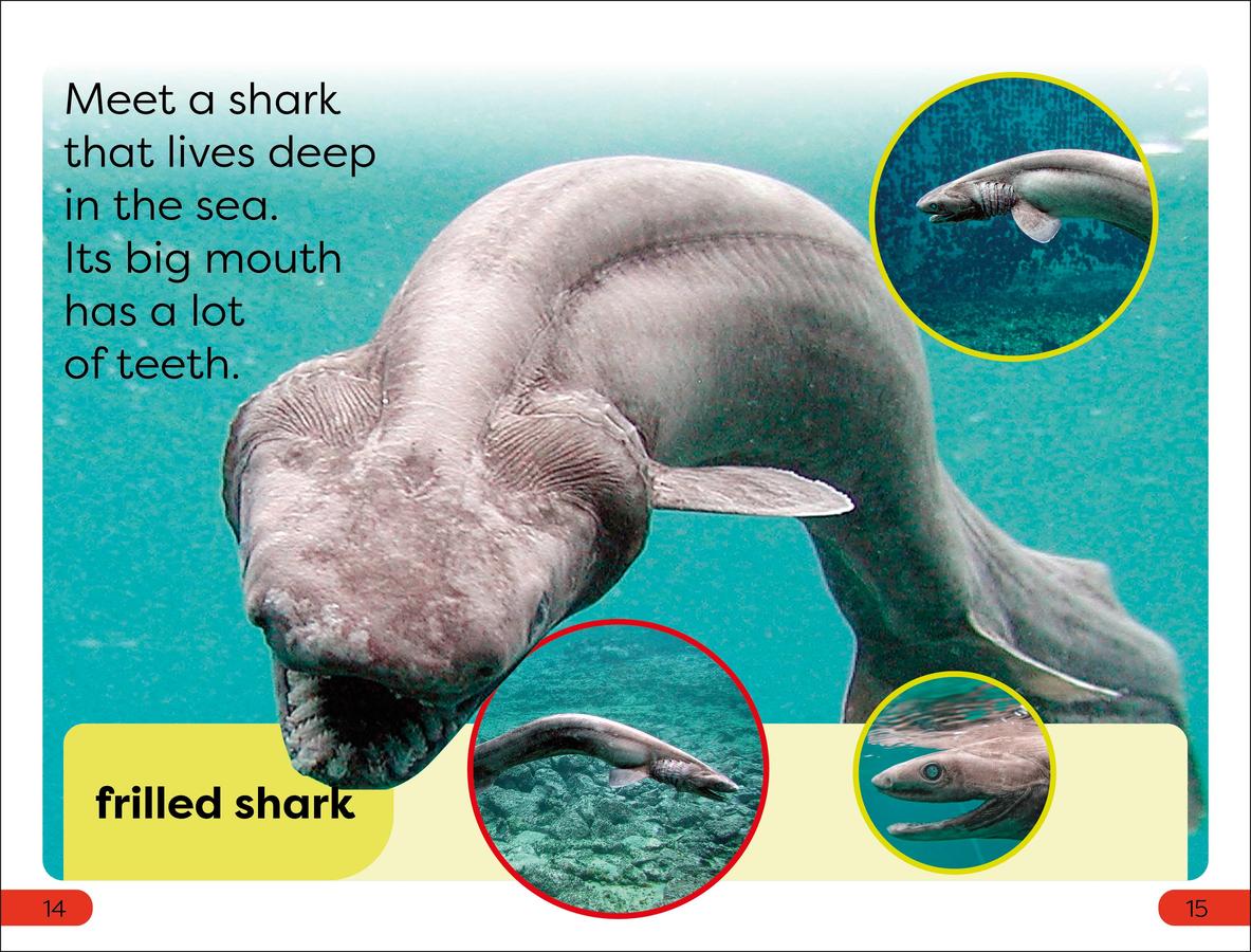 DK Super Readers Pre-Level Little Sharks Big Sharks US - Hardback