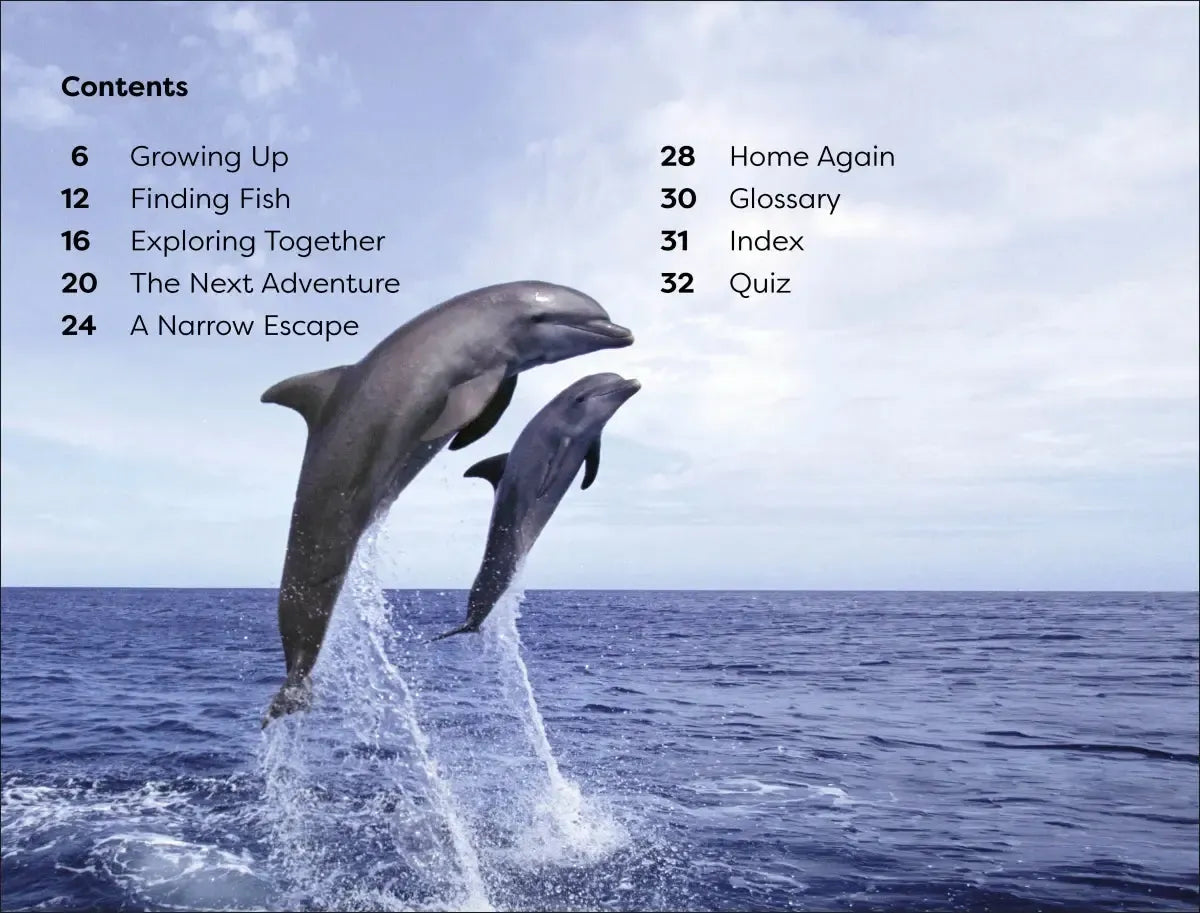 DK Super Readers Level 1 Diving Dolphin US - Paperback / softback