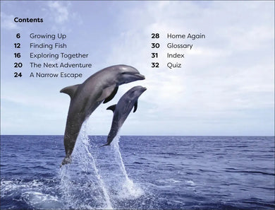 DK Super Readers Level 1 Diving Dolphin US - Paperback / softback