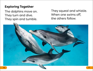 DK Super Readers Level 1 Diving Dolphin US - Paperback / softback