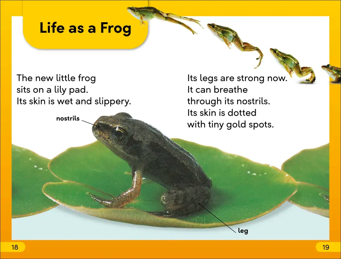 DK Super Readers Level 2 Tale of a Tadpole US - Hardback