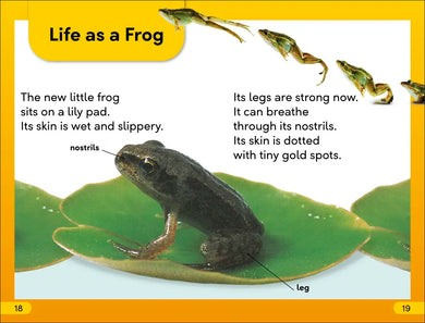 DK Super Readers Level 2 Tale of a Tadpole US - Paperback / softback