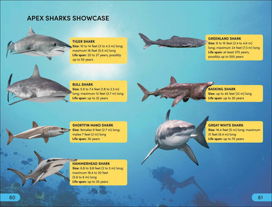 DK Super Readers Level 4 Shark: Apex Predator US - Hardback