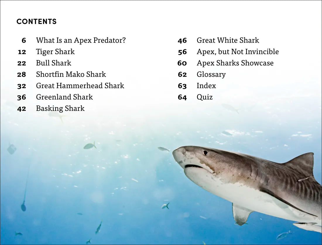 DK Super Readers Level 4 Shark: Apex Predator US - Paperback / softback