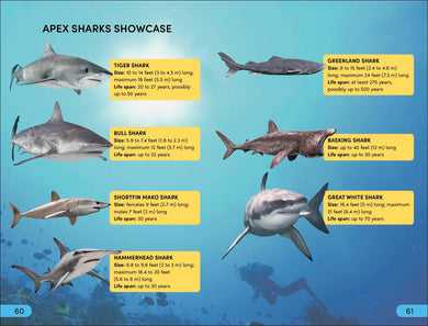 DK Super Readers Level 4 Shark: Apex Predator US - Paperback / softback