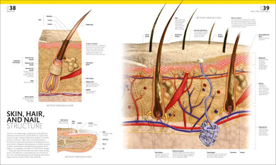 The Complete Human Body US - Hardback