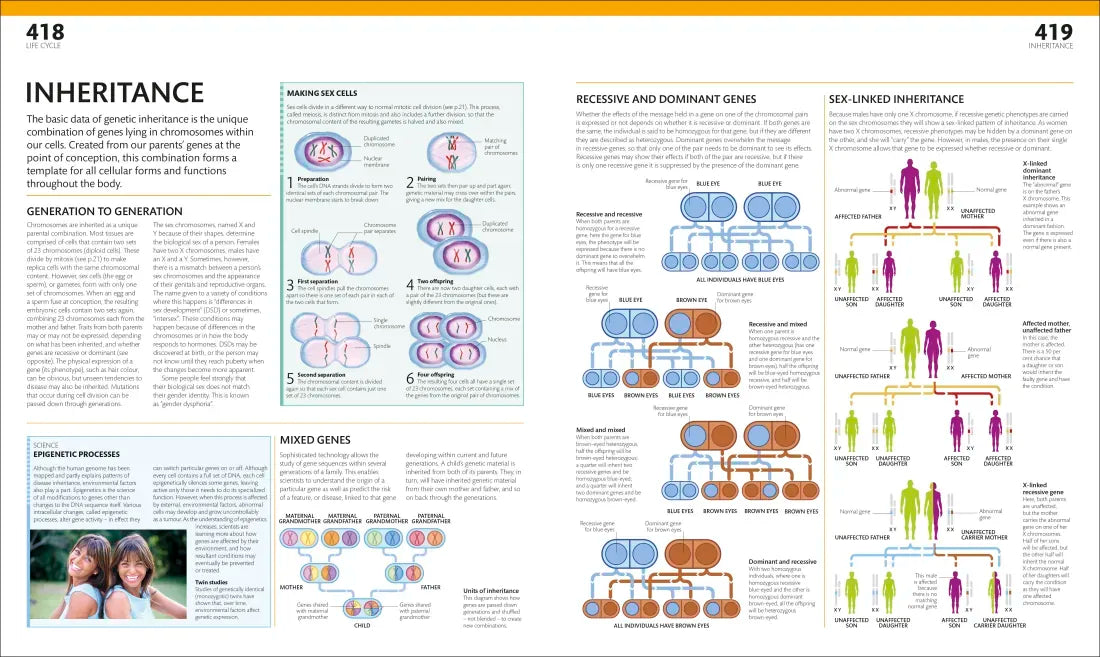 The Complete Human Body US - Hardback