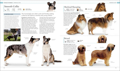 The Dog Encyclopedia US - Hardback