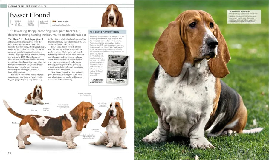 The Dog Encyclopedia US - Hardback