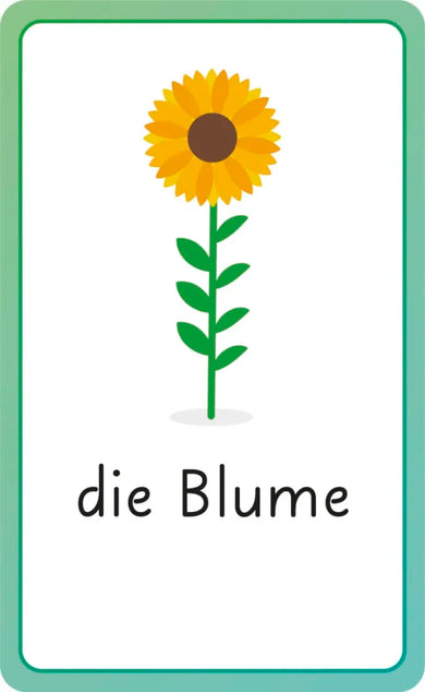 German for Everyone Junior First Words Flash Cards US - Cards