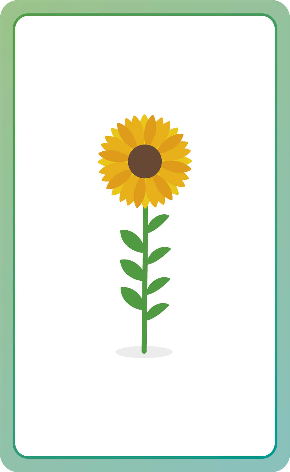 Spanish for Everyone Junior First Words Flash Cards US - Cards