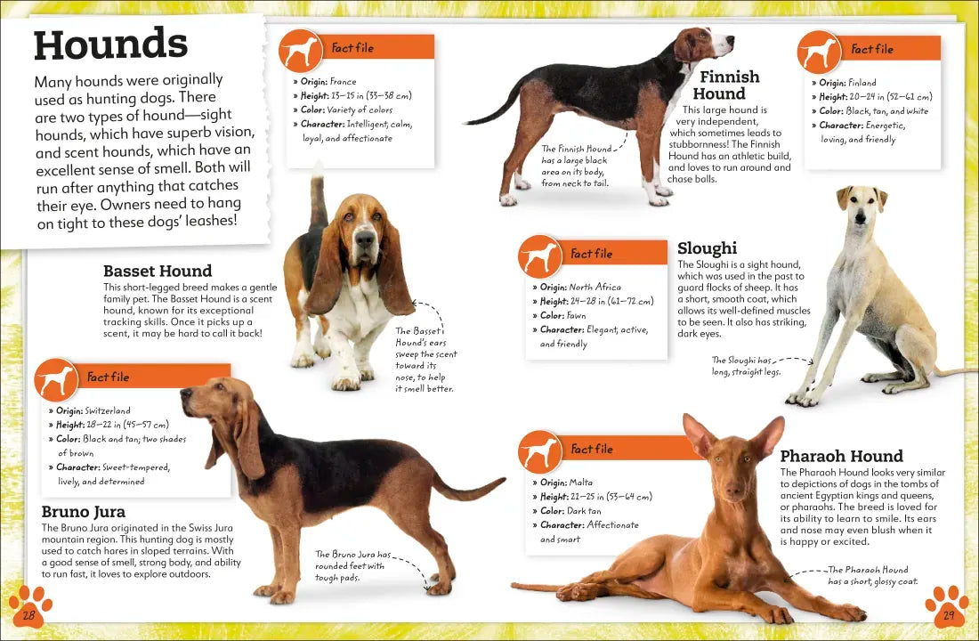 My Book of Dogs and Puppies US - Hardback