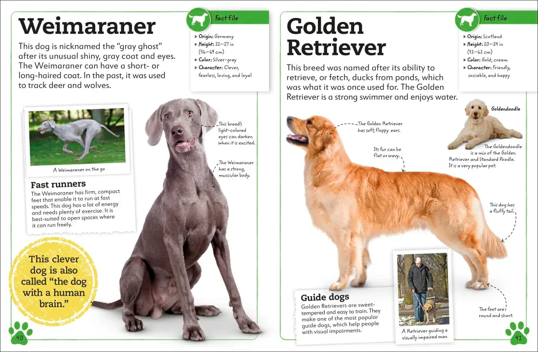 My Book of Dogs and Puppies US - Hardback