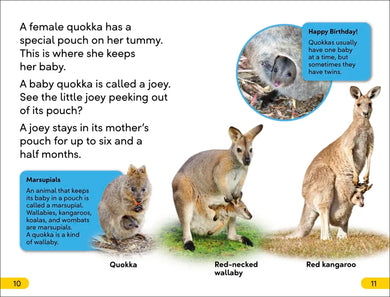DK Super Readers Level 2 Quokkas US - Hardback