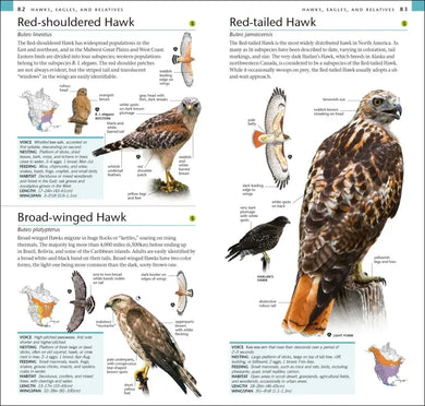 AMNH Pocket Birds of North America Eastern Region US - Paperback / softback