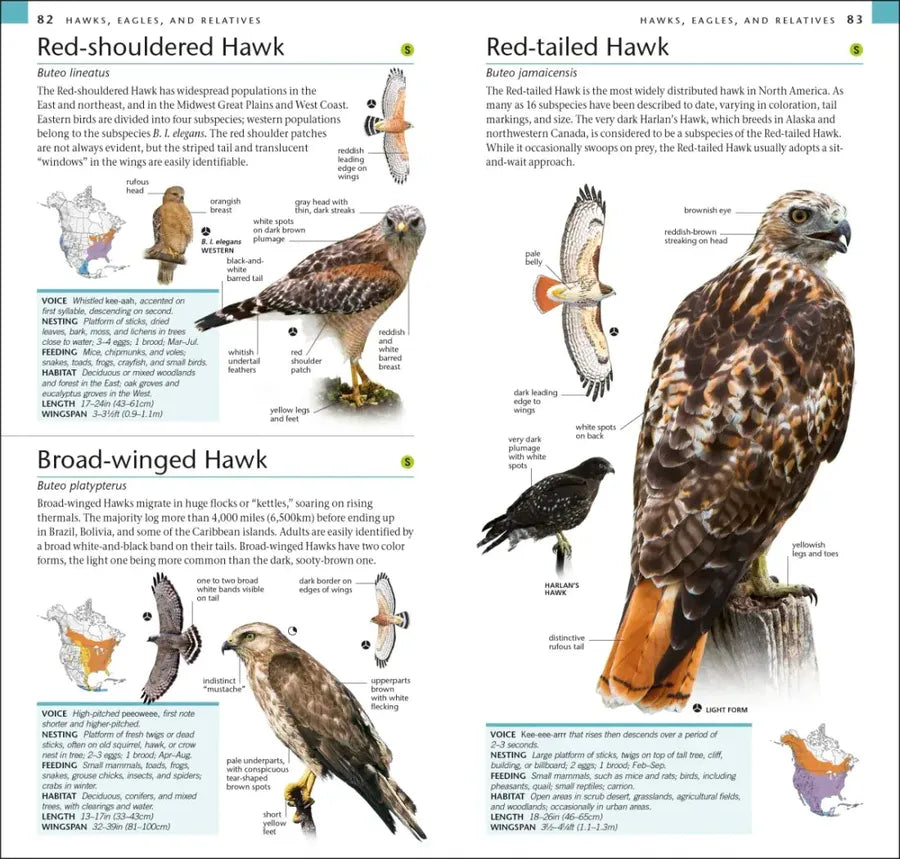 AMNH Pocket Birds of North America Eastern Region US - Paperback / softback