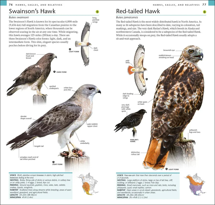 AMNH Pocket Birds of North America Western Region US - Paperback / softback