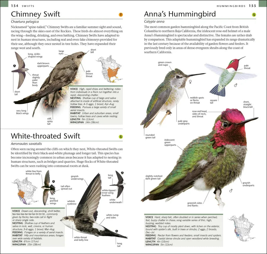 AMNH Pocket Birds of North America Western Region US - Paperback / softback