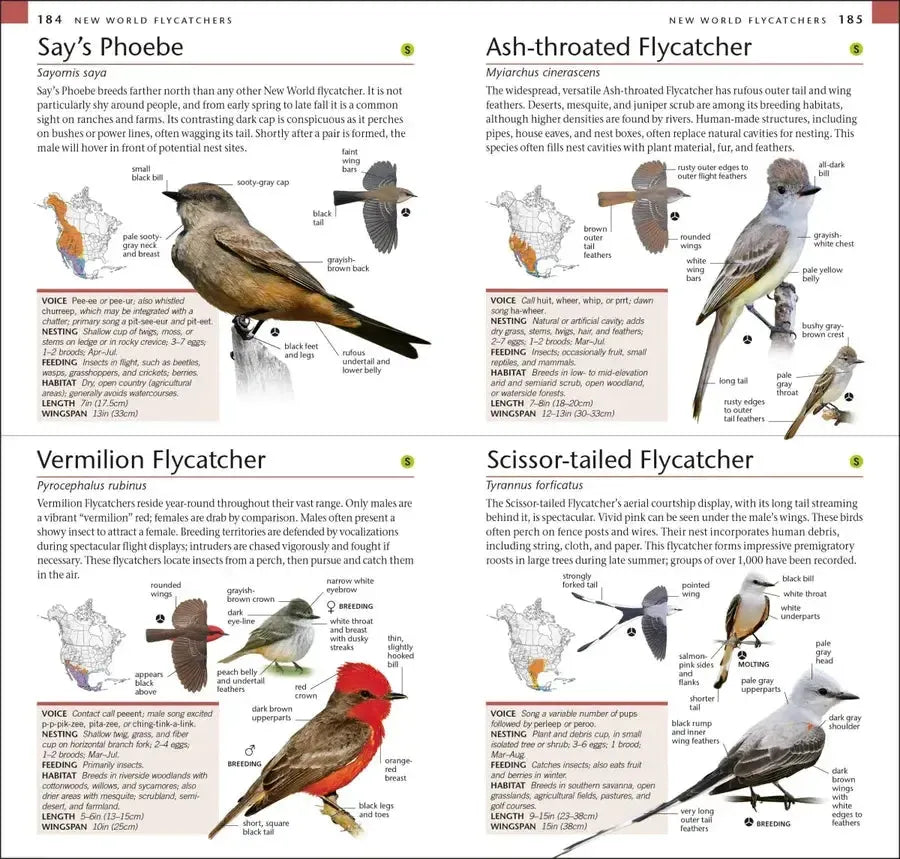 AMNH Pocket Birds of North America Western Region US - Paperback / softback
